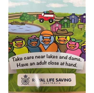 Take care near lakes and dams. Have an adult close at hand.